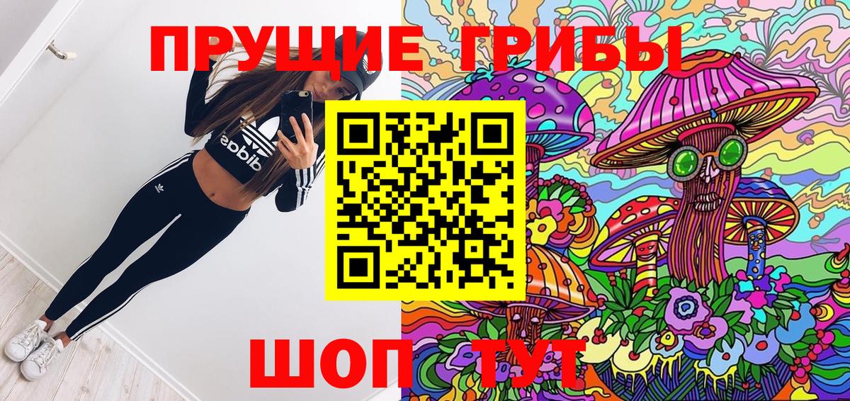 Лениногорск  Псилоцибиновые грибы MAGIC MUSHROOMS  цены   Псилоцибиновые грибы Cubensis  Вход с VPN 